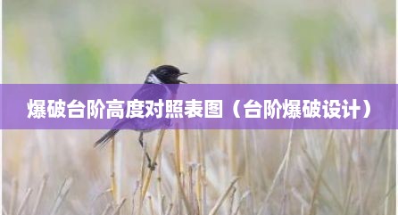 爆破台阶高度对照表图（台阶爆破设计）