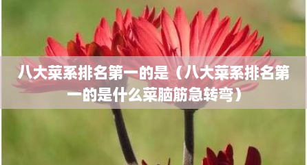八大菜系排名第一的是（八大菜系排名第一的是什么菜脑筋急转弯）