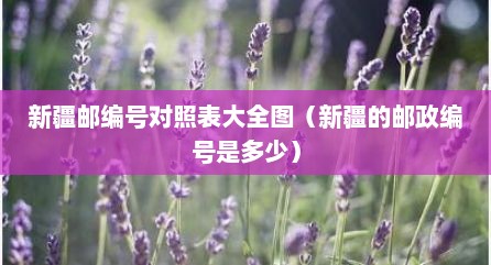 新疆邮编号对照表大全图（新疆的邮政编号是多少）
