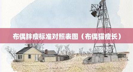 布偶胖瘦标准对照表图（布偶猫瘦长）