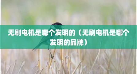 无刷电机是哪个发明的（无刷电机是哪个发明的品牌）