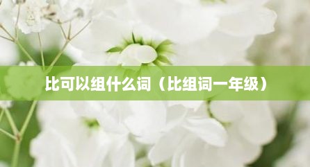 比可以组什么词（比组词一年级）