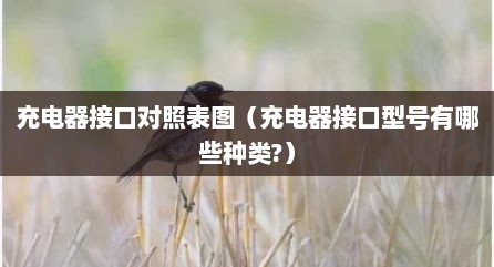 充电器接口对照表图（充电器接口型号有哪些种类?）