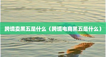 跨境卖黑五是什么（跨境电商黑五是什么）