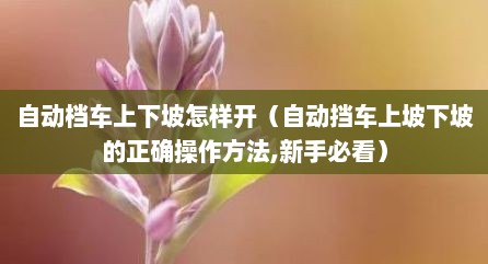 自动档车上下坡怎样开（自动挡车上坡下坡的正确操作方法,新手必看）