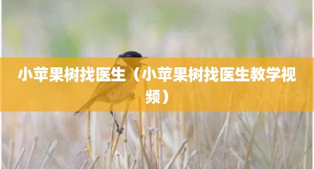 小苹果树找医生（小苹果树找医生教学视频）