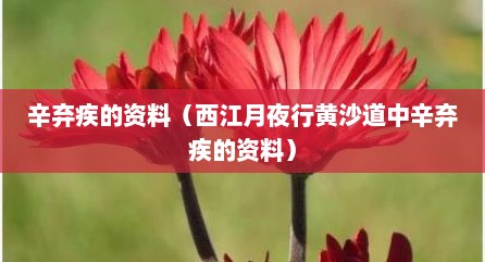 辛弃疾的资料（西江月夜行黄沙道中辛弃疾的资料）