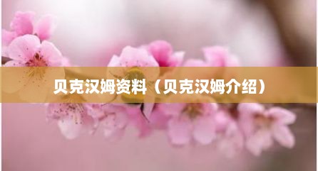 贝克汉姆资料（贝克汉姆介绍）