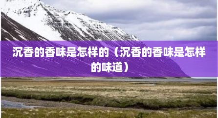 沉香的香味是怎样的（沉香的香味是怎样的味道）