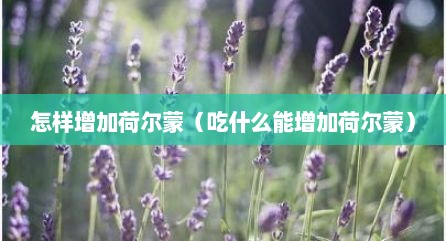 怎样增加荷尔蒙（吃什么能增加荷尔蒙）