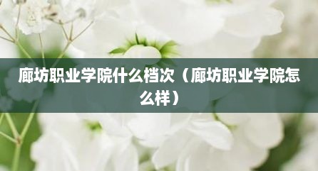 廊坊职业学院什么档次（廊坊职业学院怎么样）