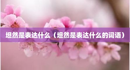 坦然是表达什么（坦然是表达什么的词语）
