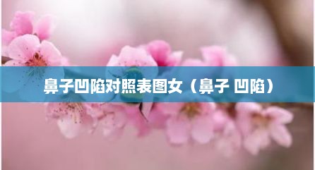 鼻子凹陷对照表图女（鼻子 凹陷）