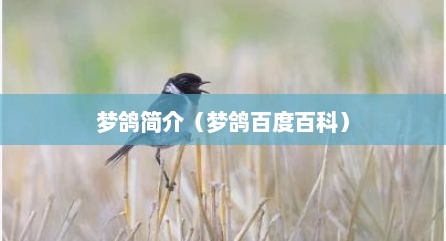 梦鸽简介（梦鸽百度百科）