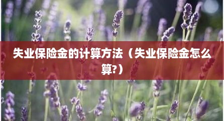 失业保险金的计算方法（失业保险金怎么算?）