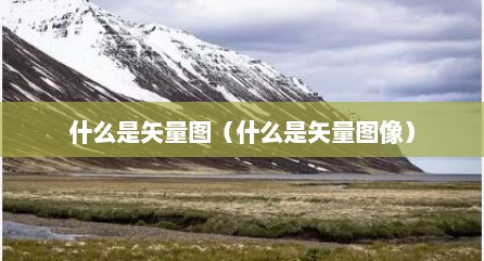 什么是矢量图（什么是矢量图像）