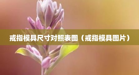 戒指模具尺寸对照表图（戒指模具图片）