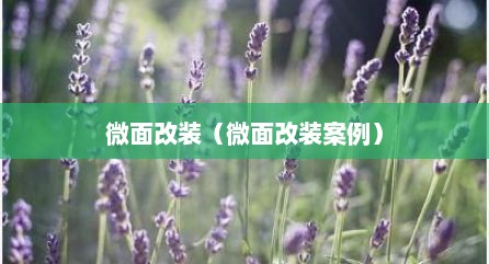 微面改装（微面改装案例）