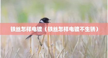 铁丝怎样电镀（铁丝怎样电镀不生锈）