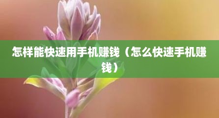 怎样能快速用手机赚钱（怎么快速手机赚钱）