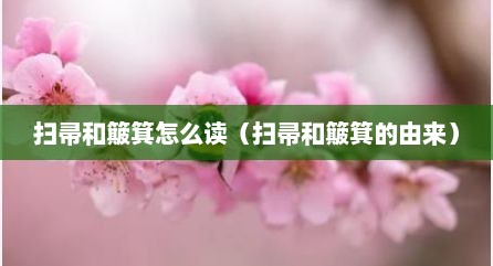 扫帚和簸箕怎么读（扫帚和簸箕的由来）