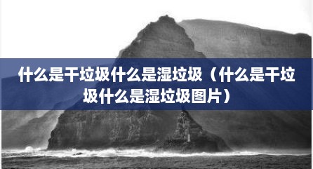 什么是干垃圾什么是湿垃圾（什么是干垃圾什么是湿垃圾图片）