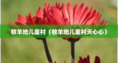 牧羊地儿童村（牧羊地儿童村天心心）