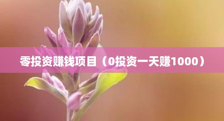 零投资赚钱项目（0投资一天赚1000）