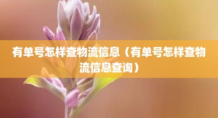 有单号怎样查物流信息（有单号怎样查物流信息查询）