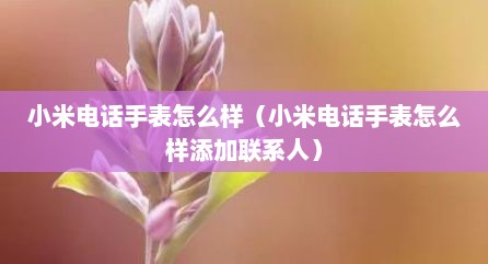 小米电话手表怎么样（小米电话手表怎么样添加联系人）