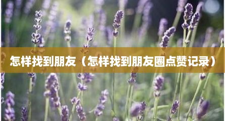 怎样找到朋友（怎样找到朋友圈点赞记录）