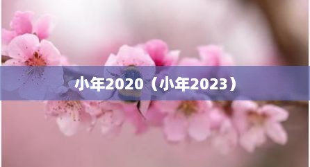 小年2020（小年2023）