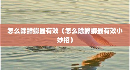 怎么除蟑螂最有效（怎么除蟑螂最有效小妙招）