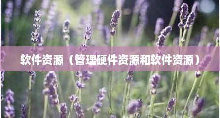 软件资源（管理硬件资源和软件资源）