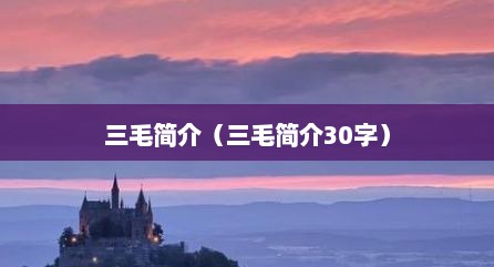 三毛简介（三毛简介30字）