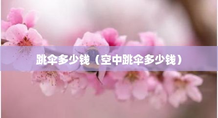 跳伞多少钱（空中跳伞多少钱）