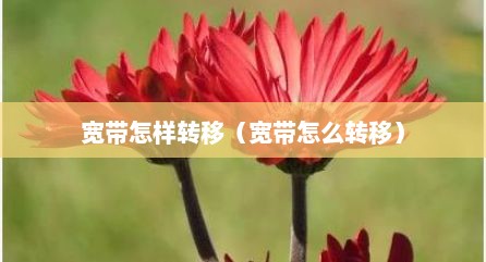 宽带怎样转移（宽带怎么转移）