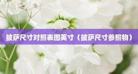 披萨尺寸对照表图英寸（披萨尺寸参照物）