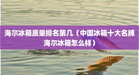 海尔冰箱质量排名第几（中国冰箱十大名牌海尔冰箱怎么样）