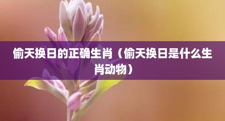 偷天换日的正确生肖（偷天换日是什么生肖动物）