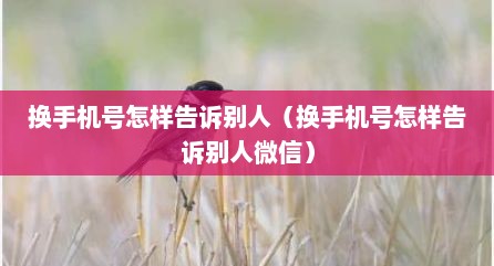 换手机号怎样告诉别人（换手机号怎样告诉别人微信）