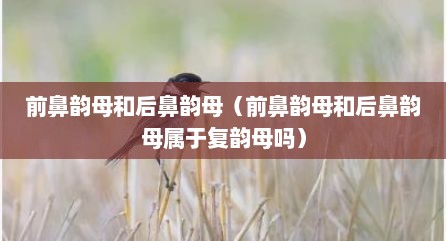 前鼻韵母和后鼻韵母（前鼻韵母和后鼻韵母属于复韵母吗）