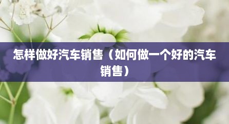 怎样做好汽车销售（如何做一个好的汽车销售）