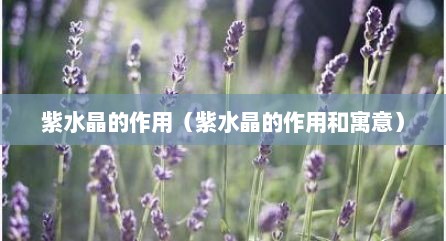紫水晶的作用（紫水晶的作用和寓意）