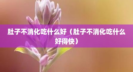肚子不消化吃什么好（肚子不消化吃什么好得快）