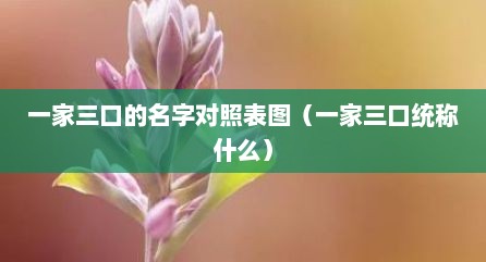 一家三口的名字对照表图（一家三口统称什么）