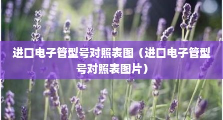 进口电子管型号对照表图（进口电子管型号对照表图片）