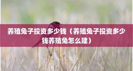 养殖兔子投资多少钱（养殖兔子投资多少钱养殖兔怎么建）