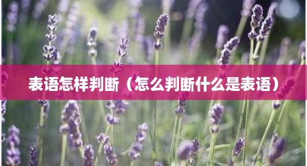 表语怎样判断（怎么判断什么是表语）