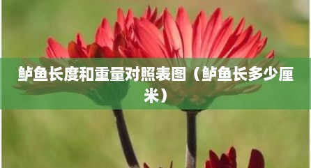 鲈鱼长度和重量对照表图（鲈鱼长多少厘米）